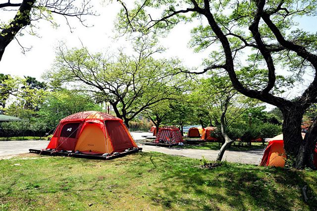 제주도 중문진실캠핑장. 밀레 제공