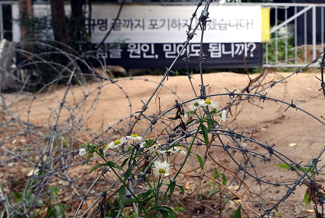 종교적 신념을 지키기 위해 바깥 세상과의 단절을 자초한 안성 금수원의 철책뒤로 금수원 정문이 보이고 있다.