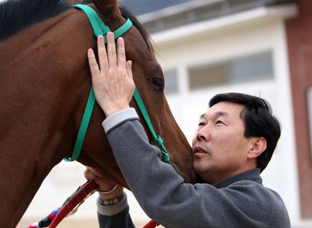 김영관 조교사가 경주마의 생김새로 좋고 나쁨을 가리는 상마(相馬)를 하고 있다. 한국마사회 제공