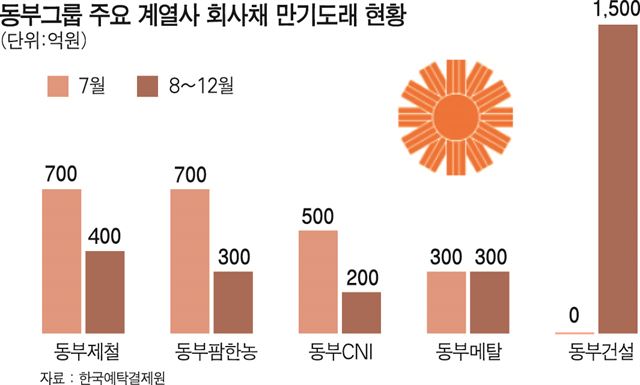 동부그룹 주요 계열사 회사채 만기도래 현황/2014-06-29(한국일보)