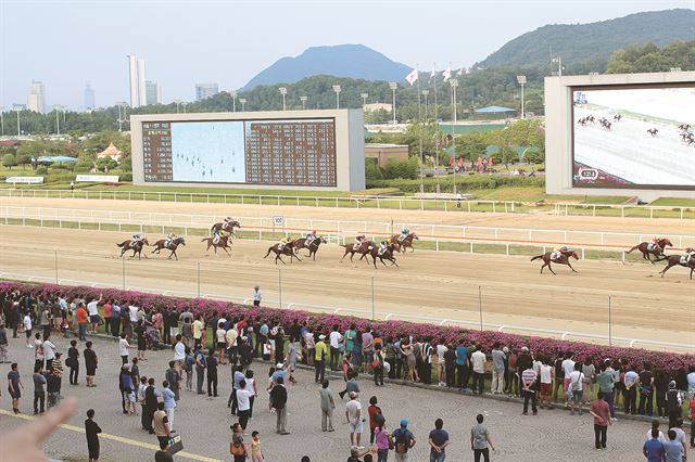 렛츠런파크서울 경마공원