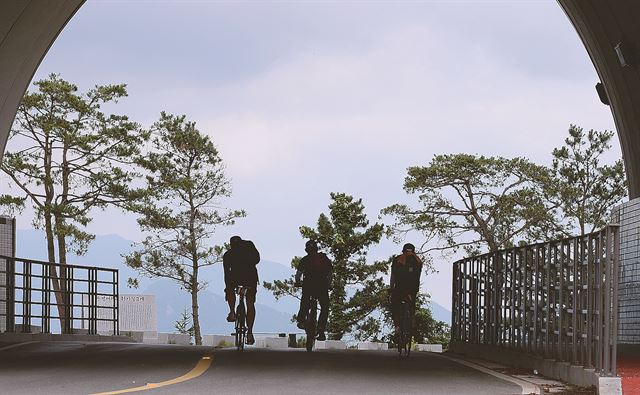 자전거 국토순례에 나선 젊은이들이 해발 548m 이화령휴게소를 지나 경북 문경으로 향하고 있다.