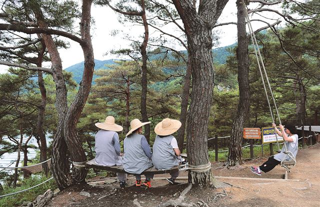 산막이옛길 탐방객들이 산책로 초입 소나무동산에서 그네를 타며 휴식하고 있다.