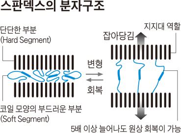 스판덱스의 분자구조