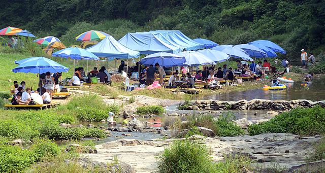 무더위가 계속되는 가운데 일요일인 13일 오후 경기 양주시 장흥면 일영유원지 계곡을 찾은 많은사람들이 물가에서 맛있는 음식을 먹으며 더위를 식히고 있다. 연합뉴스