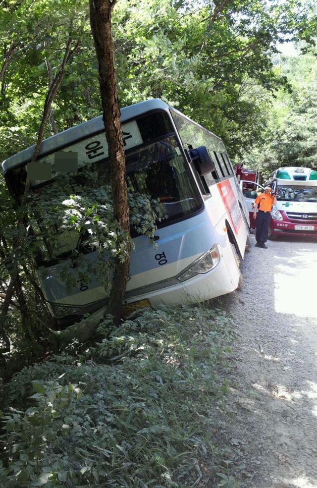 18일 오후 강원 평창군 진부면 동산리 인근 비포장도로를 운행하던 농어촌 버스 운전자가 벌에 쏘이면서 현기증을 일으켜 도로 옆 10m 아래 절벽으로 추락할 뻔한 아찔한 사고가 났다. 사고 버스는 다행히 도로 오른쪽 나무를 들이받고 45도가량 기운 채 멈춰 섰다. 연합뉴스