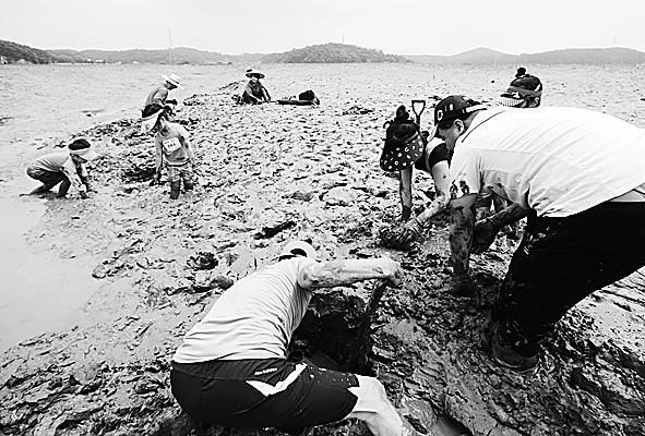 충남 서산시 금박골 갯벌체험 나선 피서객들. 서산시 제공