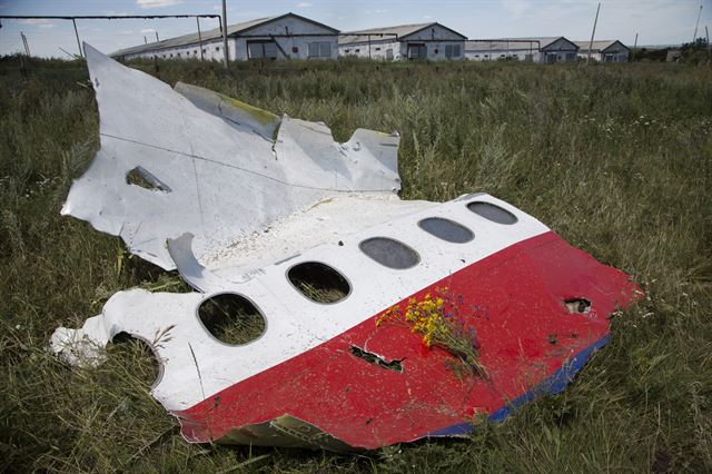 말레이시아항공 MH17편 피격 현장인 우크라이나 동부 토레즈시 인근 그라보보 마을 벌판에, 찢긴 비행기 잔해 위에 노란 꽃송이가 놓여 있다. 피격 나흘만인 이날 친러 분리주의 반군 수중에 있던 탑승자 시신이 네덜란드로 인계되기 시작했고 블랙박스도 말레이시아 조사단에 전달됐다. 그러나 반군이 여전히 국제조사단의 추락현장 접근을 제한하고 있는데다 현장증거 훼손이 계속되고 있을 공산이 커서 진상규명까지는 여전히 갈 길이 멀다. AP 연합뉴스