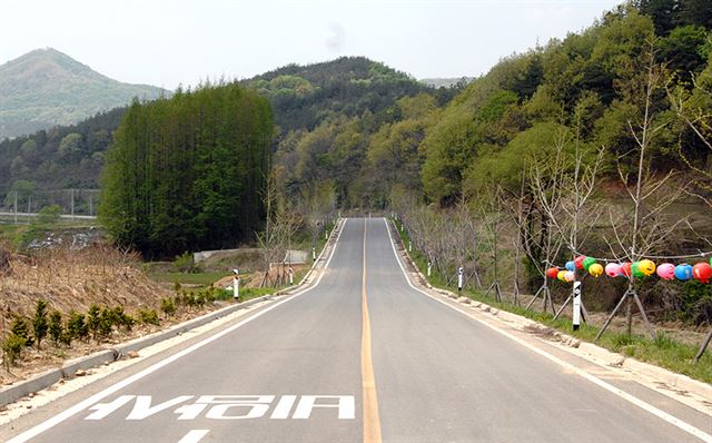 세종시 전의면 도깨비도로 전경. 세종시 제공