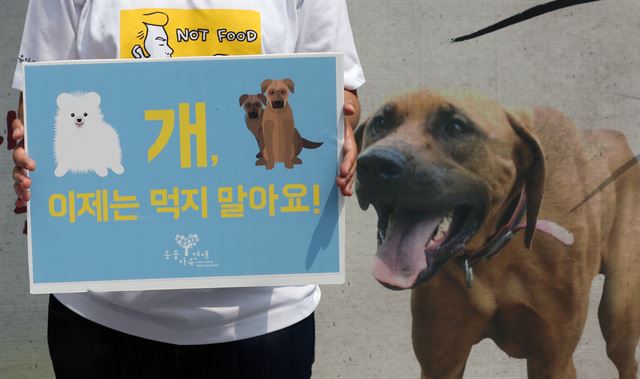 중복인 28일 오전 서울 종로구 탑골공원 앞에서 동물자유연대 회원이 개고기 식용에 반대하는 피켓을 들고 캠페인을 펼치고 있다. 연합뉴스