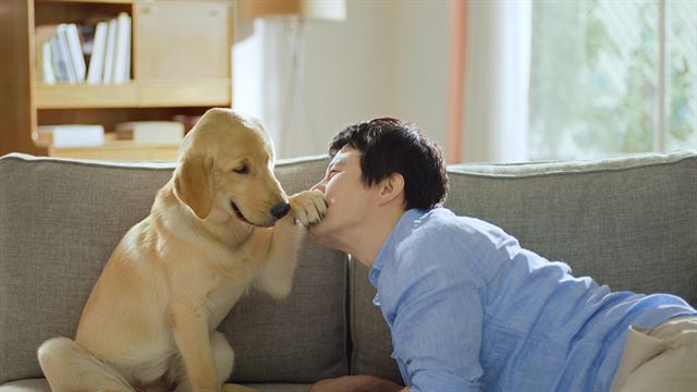 KT가 굿초이스라는 캠페인 아래 방영중인 굿초이스 견공편. 제일기획 제공