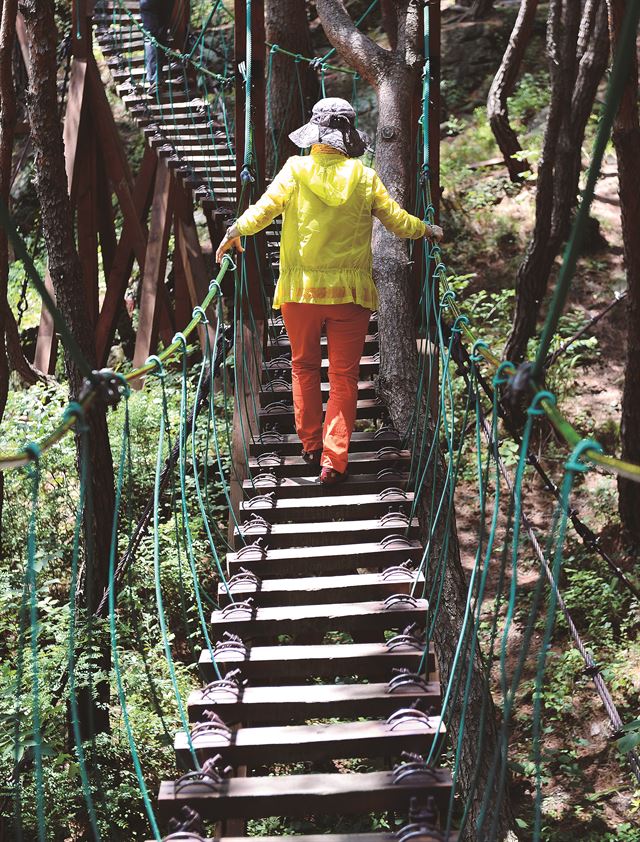 충북 괴산의 오지 산막이마을 사람들이 장에 나물과 약초를 내다팔러 다니던 산허리 비탈길이 이젠 제주 올레보다 더 많은 사람들이 찾는 길이 됐다. 산막이옛길 진입로 초입엔 나무 위를 걷는 출렁다리가 놓여져 아기자기한 재미를 더한다. 괴산=최흥수기자 choissoo@hk.co.kr