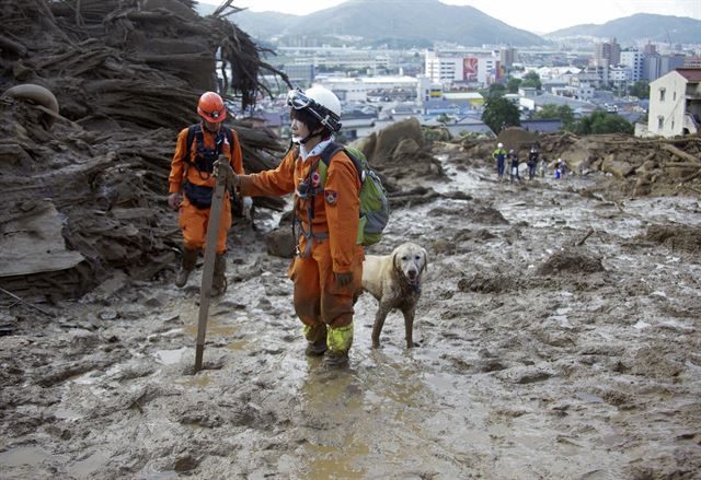 산사태 현장에서 구조대원이 구조견과 실종사 수색작업을 하고 있다. 히로시마=EPA 연합뉴스