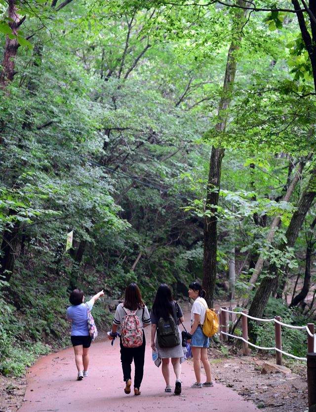 청평사 가는 길은 계곡을 따라 짙은 숲길이 이어진다. 춘천=최흥수기자 choissoo@hk.co.kr