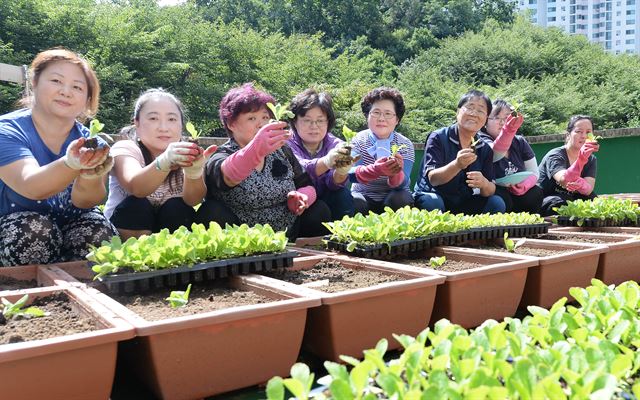 서울 금천구 벽산아파트 주민들이 옥상 텃밭에 계분, 쌀겨 등 자연 비료를 일일이 흙과 버무리는 작업을 하며 환한 미소를 짓고 있다. 1,000여개의 화분으로 구성된 텃밭을 주민들이 함께 가꾸며 생산한 농산물로 어려운 이웃을 돕다 보니 자연스레 분쟁도 사라지고 서울지역에서 으뜸 마을이 됐다. 배우한기자 bwh3140@hk.co.kr