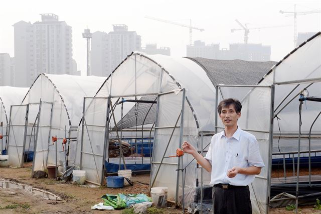 경기 양주시 장흥면의 그린벨트 부지에서 목진일씨가 개발제한구역 제도의 문제점을 설명하고 있다. 비닐하우스 너머 비(非)그린벨트 지역에선 고층 아파트 단지 공사가 한창 진행 중이다. 김명선 인턴기자(고려대 철학과 4)