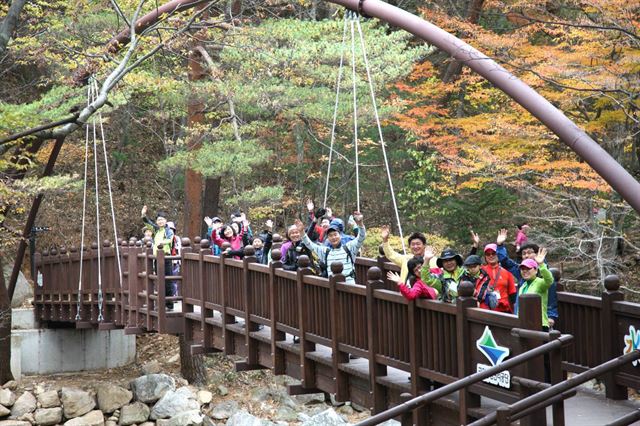 합천군이 두 차례 대장경세계문화축전을 개최하면서 가야면에서 해인사에 이르는 홍류동 계곡 7km구간에 조성한'해인사 소리길'은 7개의 다리, 길이 500m에 이르는 데크,오솔길들이 서로 이어져 있으며 10여개의 체험코스로 꾸며져 관광객들이 꾸준히 늘고 있다. 한국일보 자료사진