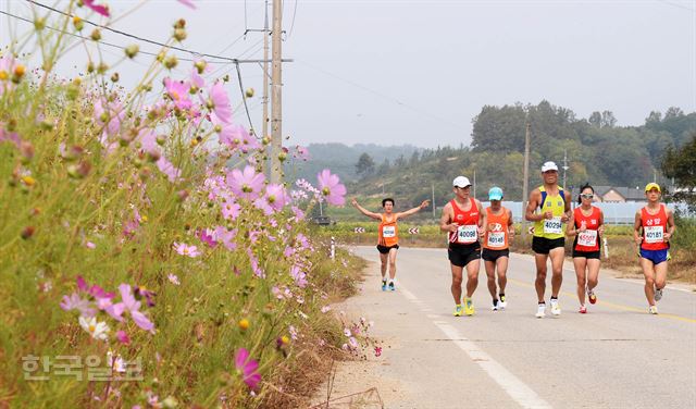 28일 강원도 철원군에서 열린 제 11회 철원 DMZ 국제 평화마라톤에서 참가자들이 비무장지대 내에서 코스모스를 배경으로 달리고 있다. 철원= 김주성기자 poem@hk.co.kr