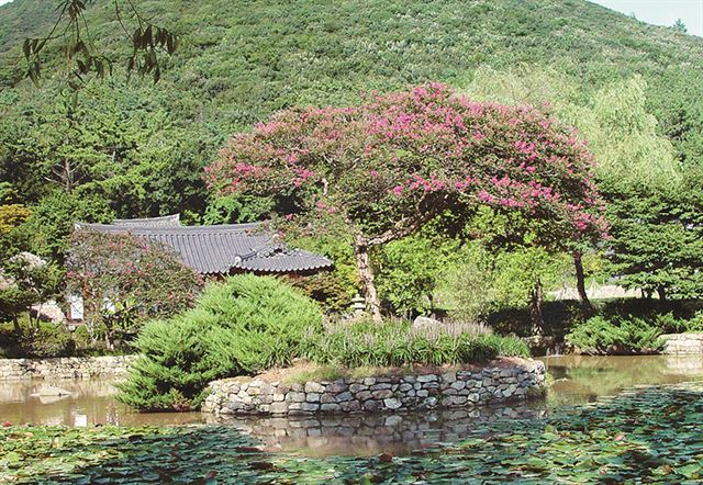 '200년 화맥' 진도 운림산방. 연합뉴스