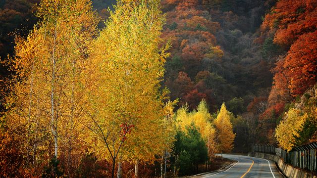 화천 해산령. 화천군청 제공.