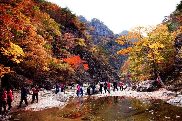 청송 절골계곡. 청송군청 제공.