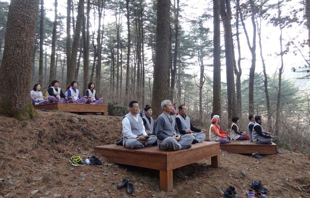 10일 전국 공립 치유의 숲 중 국내 첫 번째로 일반에 정식 개방할 예정인 경기 가평군 축령산 ‘경기도 잣향기 푸른숲’에서 시민들이 명상 프로그램을 체험하고 있다. 가평=연합뉴스