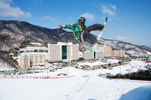 비발디파크.