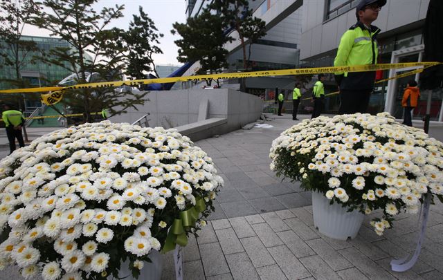 19일 오후 환풍구 추락사고가 난 경기 성남시 판교테크노밸리 야외광장에 인근 상인들이 고인들의 넋을 위로하기 위해 가져다 놓은 국화 화분이 놓여 있다. 성남=연합뉴스