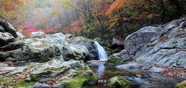 화악산 중봉과 석룡산 사이를 흐르는 조무락골. 이곳은 벌써 단풍무리가 훑고 지났다. 이끼위에 소복하게 쌓인 낙엽과 맑은 물 떨어지는 폭포가 어우러져 선계를 만든다.