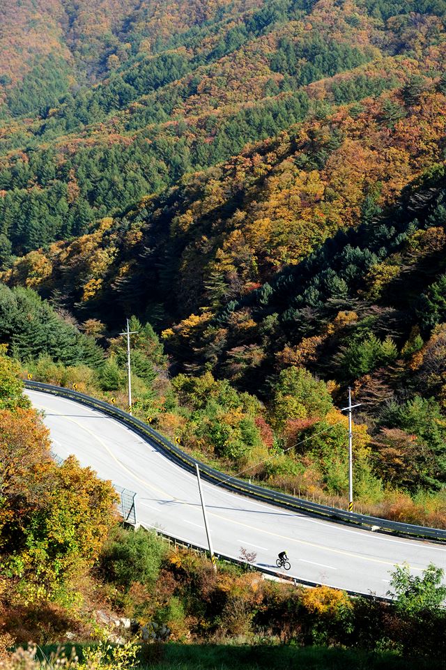 도마치재는 자전거 마니아들에게 제법 알려진 코스다.