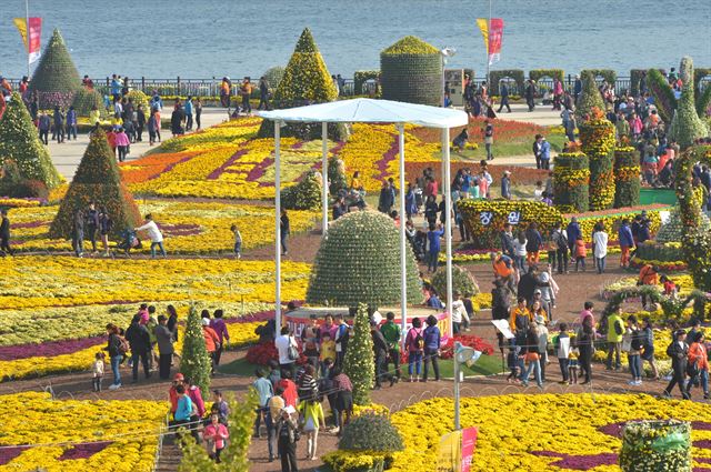 지난해 마산가고파국화축제 모습.