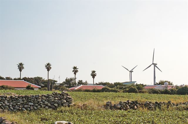 바람과 파도의 섬 가파도가 탄소제로의 섬으로 변신하고 있다. 섬 주민들에게 필요한 전기는 이제 디젤발전기 대신 풍력발전기로 생산해낸다. 가파도(제주)=정재환기자 jungjh@hk.co.kr