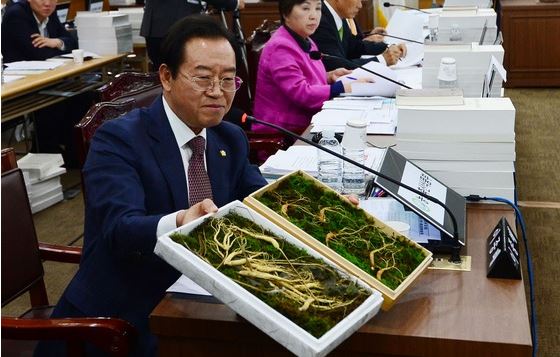 이종배 의원이 농식품부에 대한 국정감사에서 시중에 나도는 가짜 산양삼을 들어보이며 불법 유통을 근절할 대책을 촉구하고 있다.