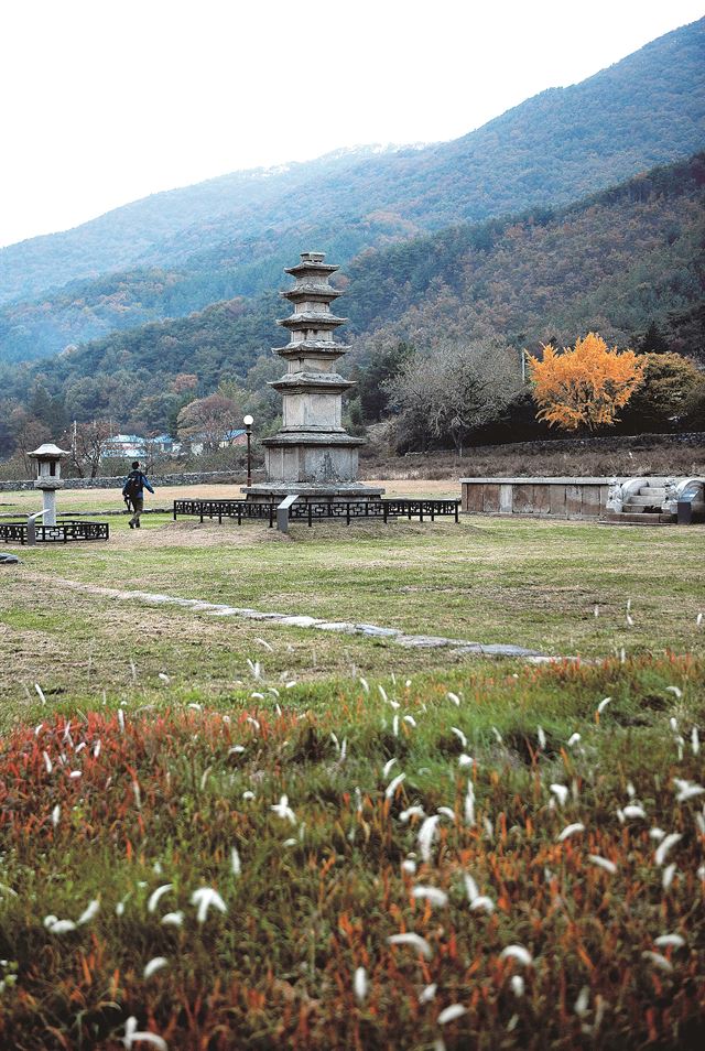 성주사지를 걸으면 묵직한 시간의 향기가 바람에 실려온다.