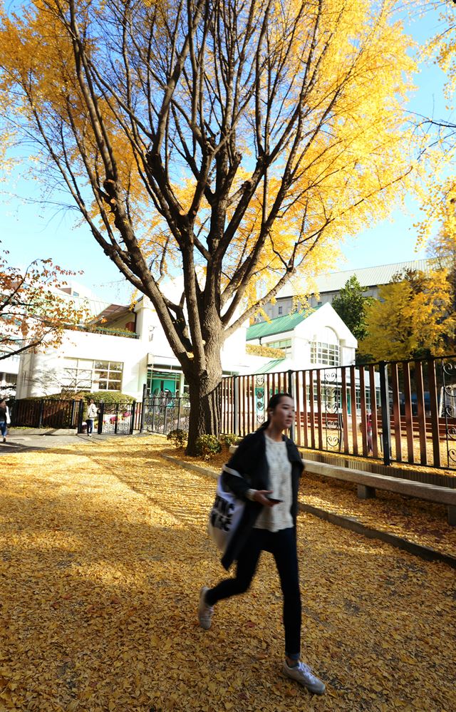 입동인 7일 오전 서울 서대문구 이화여자대학교 교정에서 학생이 바쁜 발걸음을 옮기고 있다. 뉴시스