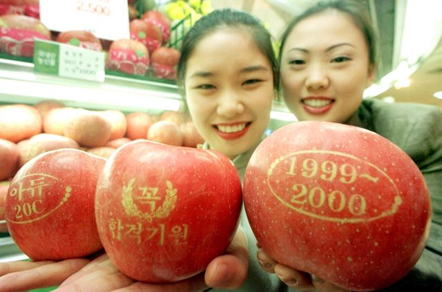 수능 사과가 나온 것은 1999년부터다. 당시 신세계백화점 본점은 수능시험을 앞두고 수능합격기원사과와 2000년 밀레니엄사과등 이색사과를 출시했다. 한국일보 자료사진