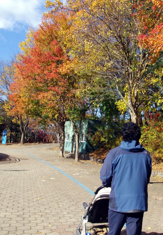 유모차에 앉아 구경하다 스르르 잠들던 아들은 이제 없다. 쉬지 않고 떠들고 쏘다니는 아들이 있을 뿐이다. 1년 전 수면을 제대로 취하지 못하는 통에 잠도 잘 자고 스스로 걷는 아들 만한 아이들의 부모들이 부러웠던 적이 있는데, 막상 그 입장이 되고 보니 그렇지도 않다.