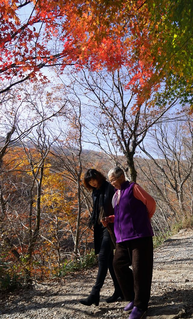 간전댁 할머니와 아내가 지리산 피아골 계곡을 찾아 단풍길을 걷고 있다. 할머니는 단풍 구경을 “정신 나간 소리”라고 하셨지만 아내와 얘기를 할 때는 젊었을 적 구경 다녔던 기억을 한참 동안 풀어 놓으셨다.