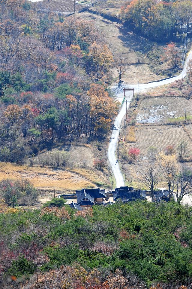 화개산 정상에 본 교동향교. 가을과 겨울이 교차하는 중이다.