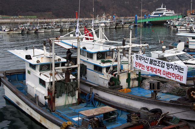 연평도, 백령도 등 서해 5도 어민들이 중국어선들의 불법조업 피해보상을 촉구하며 26일 인천시 옹진군 대청도 인근 해상에서 시위를 했다. 시위를 마친 어선들이 대청도 선진포항에 정박되어 있다. 옹진군청 제공)