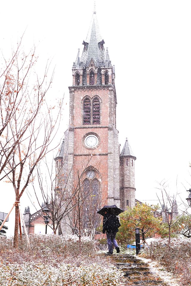 눈 오는 거리 풍경. 1일 오전 서울 중구 명동성당. 한주형 인턴기자 (한양대 미디어커뮤니케이션학과 3)