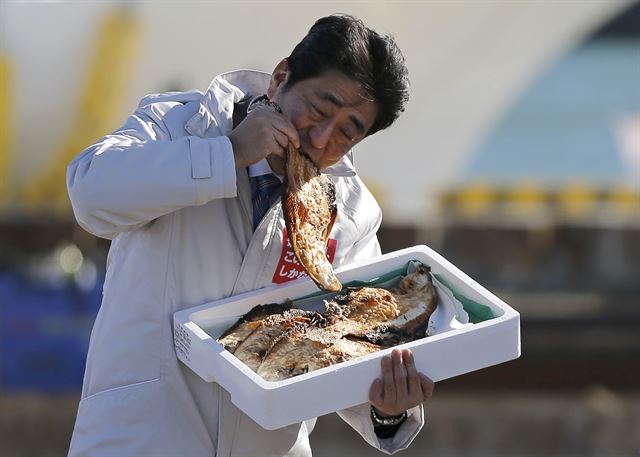 [후쿠시마에서 첫 유세-생선도 먹고~] 일본 집권 자민당의 대표이기도한 아베 신조 일본 총리가 14일에 시작되는 중의원 선거를 앞두고 2일(현지시간) 후쿠시마 소마의 소마 하라가마 어항에서 첫 유세중 생선구이를 먹고 있다. 로이터 연합뉴스