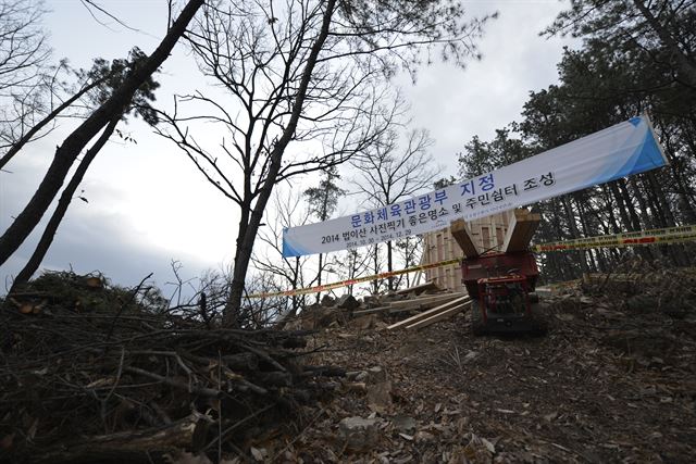 무단벌목 사진명소/2014-12-03(한국일보)