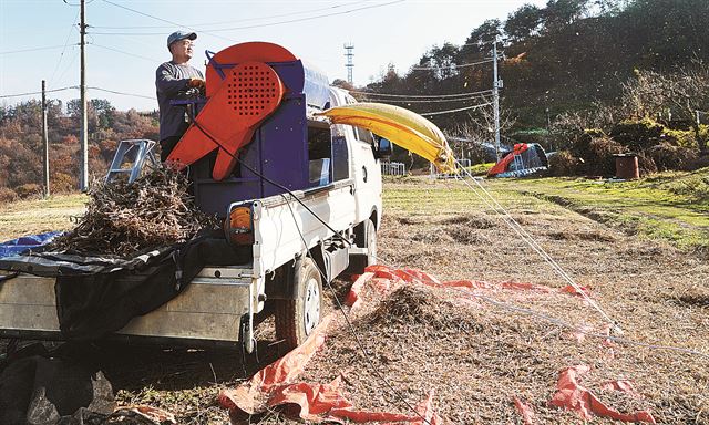 트럭과 콩 탈곡기를 빌려 타작을 해보았다. 시행착오를 겪은 후 몇 가지 장치를 보강하니 콩의 손실이 훨씬 줄어들었다.