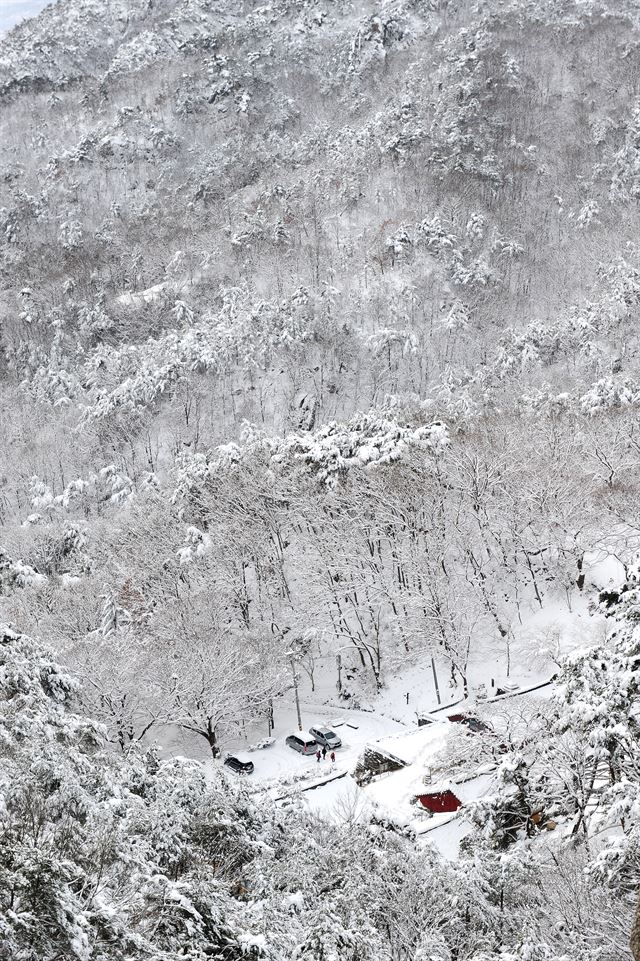 눈 내리던 날, 용과 봉황을 닮은 용봉산이 설국으로 변했다. 병풍바위에 올라서면 1,000년의 시간 품은 고찰 용봉사가 꿈처럼 아득하다.