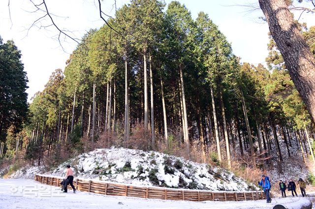 일부 등산객은 산림욕의 효과를 조금이라도 더 보기 위해 웃통을 벗고 산행을 하기도 한다.