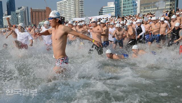 4일 오전 부산 해운대해수욕장에서 '제28회 북극곰 수영축제'가 열린 가운데 참가자들이 일제히 차가운 겨울바다에 뛰어들고 있다. 전혜원기자 iamjhw@hk.co.kr