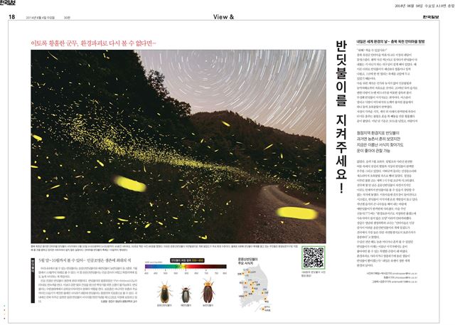 네이쳐부문 최우수상을 수상한 '반딧불이를 지켜부세요!'이 실린 6월 4일자 18면. 사진부 기획팀, 편집=이직기자