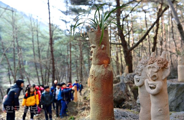 솔숲 산책길 곳곳에 도깨비가 숨어 있다.