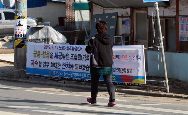 대전지검 논산지청이 최근 조합원에게 금품을 돌린 혐의로 충남 논산시 노성농협 조합장 출마 예정자 김모(55·여)씨를 구속한 가운데 한 주민이 '금품을 받은 조합원이 자수하면 선처하겠다'는 내용의 플래카드를 보고 있다. 연합뉴스